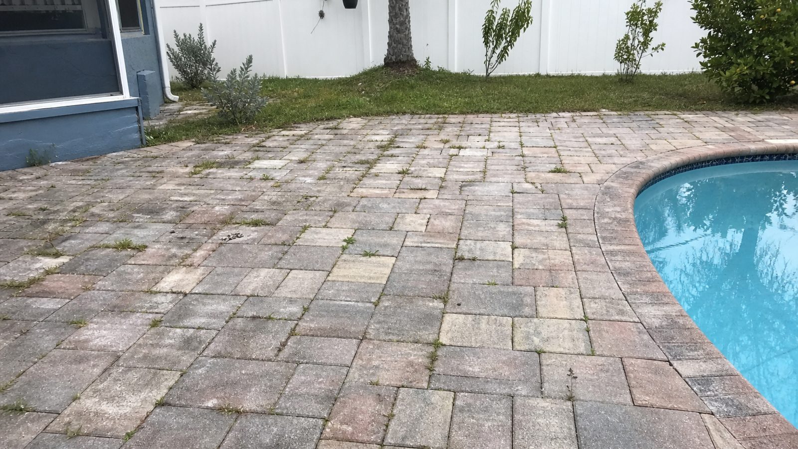 Florida pool deck pavers with faded color, weed growth in joints and slight efflorescence staining