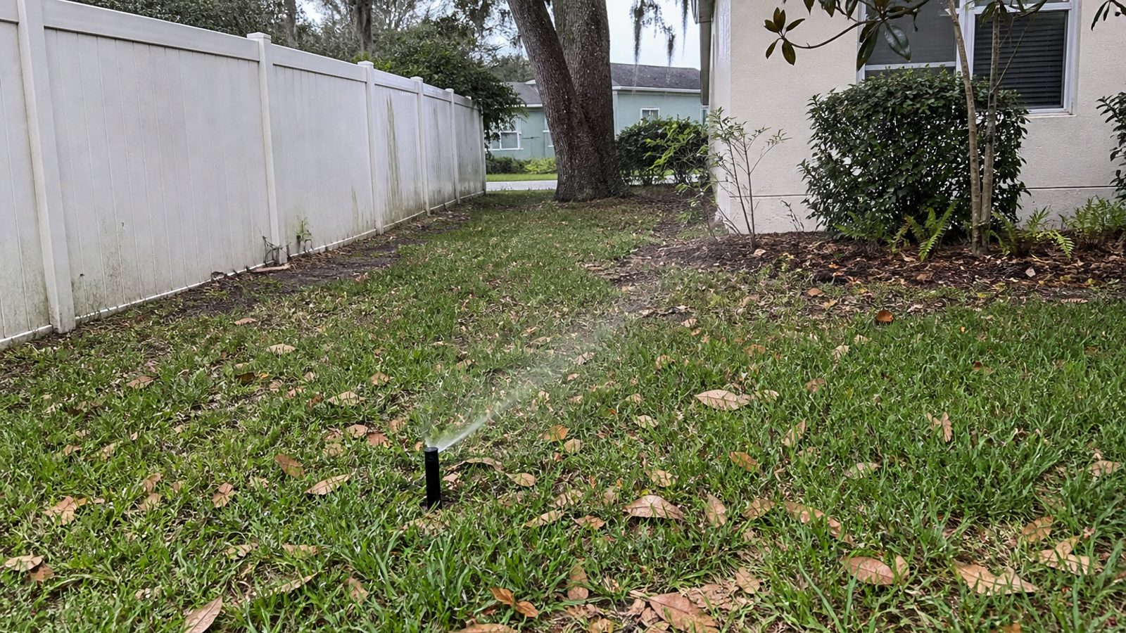 Orlando HOA-style yard with irrigation head, oak leaf debris, damp shaded fence line, realistic afternoon light