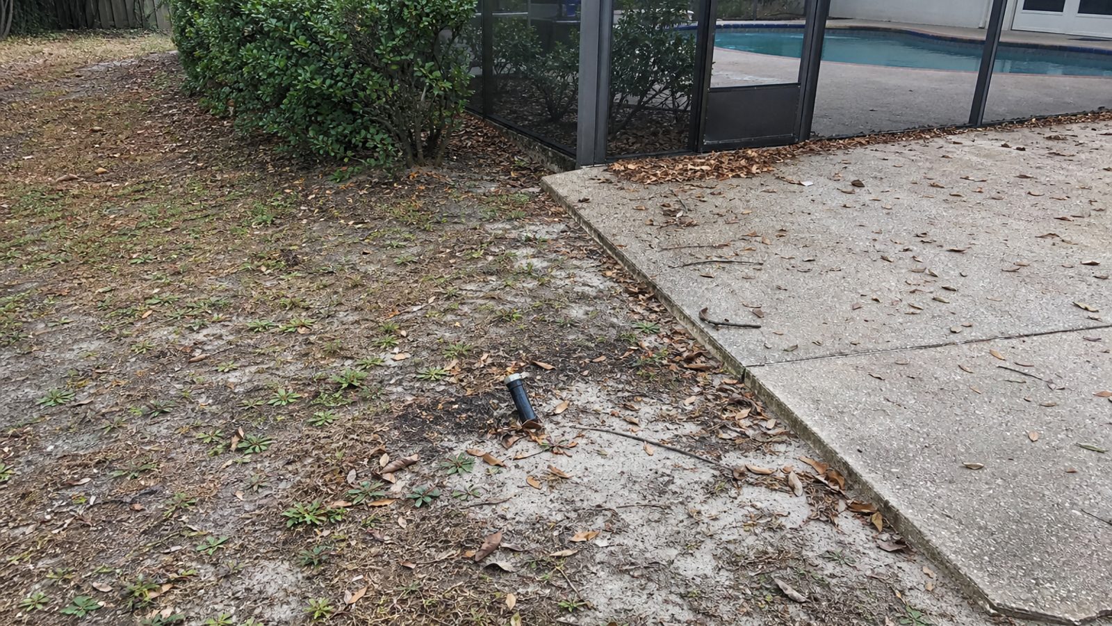 Orlando suburban backyard with pool cage, oak debris on deck, tilted irrigation head, sandy soil dry patches